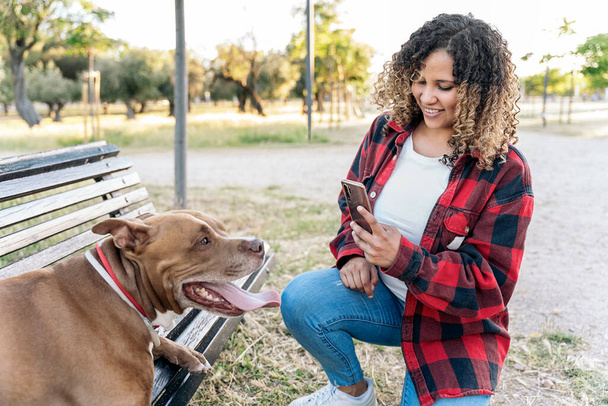 Happy woman with curly hair sitting in the park and petting her purebred dog. She is taking a photo with her phone. - Zdjęcie, obraz