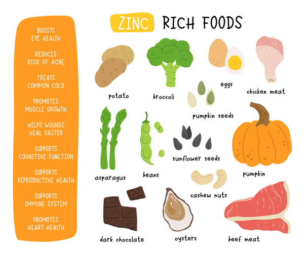 Zinc vector stock illustration. Food products with a high content of the mineral. Oysters, pumpkin seeds, sunflower seeds, eggs, asparagus, beef, chicken, cashew nuts. Information poster. Food, diet. - Vector, Image