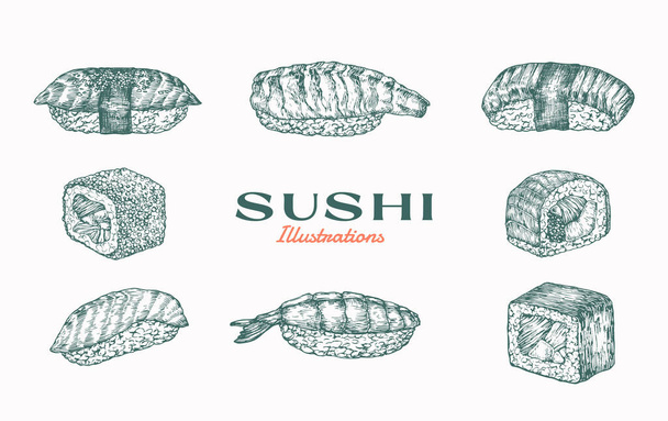 Sushi Abstract Vector Illustration. Hand Drawn Asian Food Sashimi Rise with Shrimp Tail, Salmon Fish Rolls Sketch Drawings Collection. Japanese Cuisine Doodles Set. Isolated - ベクター画像