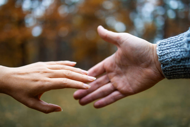 Jeune couple amoureux marchant dans le parc d'automne se tenant la main en gros plan. Les mains d'un homme et d'une femme se touchent. - Photo, image