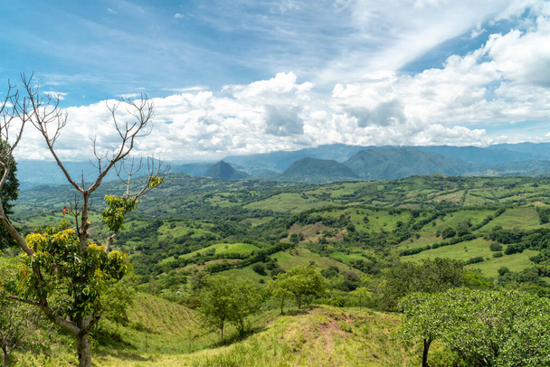 Tamesis 'teki panoramik manzara. Mavi gökyüzü ve ufukta dağ var. Kolombiya.  - Fotoğraf, Görsel