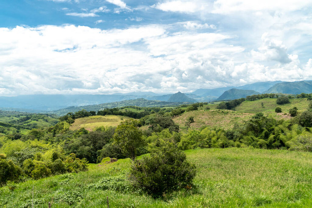 Tamesis 'teki panoramik manzara. Mavi gökyüzü ve ufukta dağ var. Kolombiya.  - Fotoğraf, Görsel