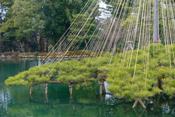 Jardín Kenrokuen en Kanazawa, Japón
 - Foto, imagen