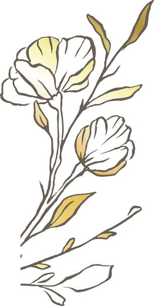 Magnolia gold flower line vector logo elegant wedding delicate floral nature wildflower  - Вектор,изображение