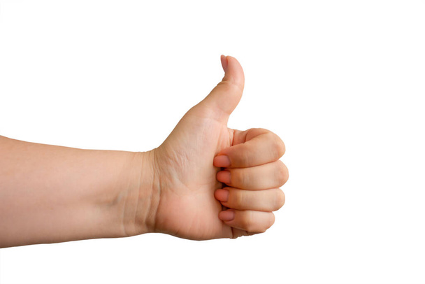 Female hand isolated on white background. Thumbs up. - 写真・画像