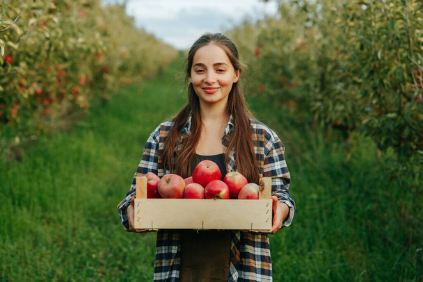 Front view young woman farmer garden agronomy long hair stand happy smile nice hold box red apples. In the apple orchard, the weather is good at the end of the working day. Clear sky background. - 写真・画像