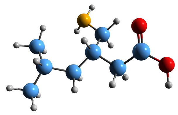 Immagine 3D della formula scheletrica di Pregabalin - struttura chimica molecolare di farmaci anticonvulsivanti, analgesici e ansiolitici isolati su sfondo bianco - Foto, immagini