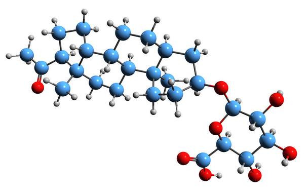  3D εικόνα του σκελετικού τύπου Pregnanediol glucuronide - μοριακή χημική δομή του μεταβολίτη της προγεστερόνης που απομονώνεται σε λευκό φόντο - Φωτογραφία, εικόνα