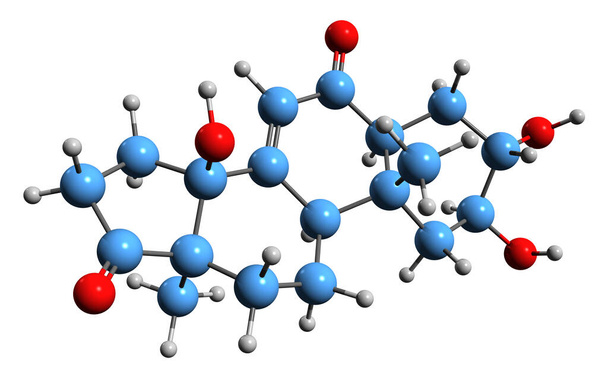 Rubrosteron iskelet formülünün 3 boyutlu görüntüsü - böceklerin moleküler kimyasal yapısı ve beyaz arka planda izole edilmiş bitki steroidi - Fotoğraf, Görsel