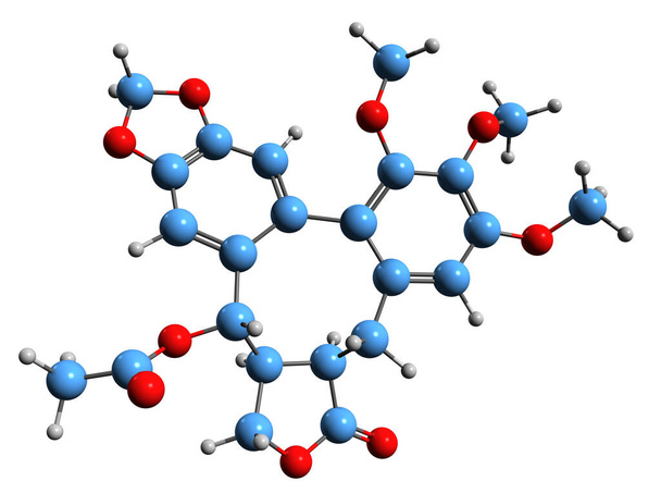  3D изображение скелетной формулы стеганацина - молекулярная химическая структура дибензоциклооктадиена лактона, выделенного на белом фоне - Фото, изображение