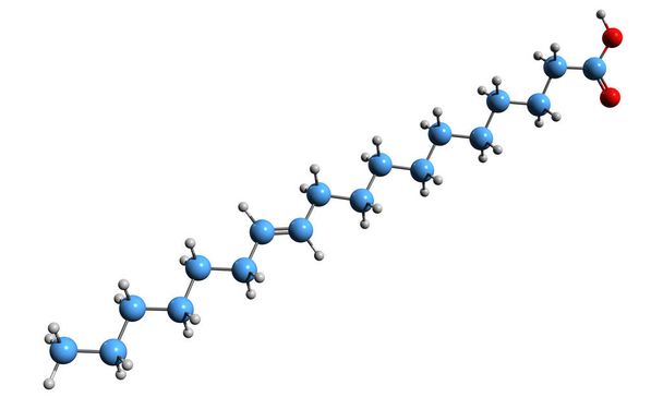  3-мерное изображение скелетной формулы вакциновой кислоты - молекулярная химическая структура транс-жирной кислоты, выделенной на белом фоне - Фото, изображение