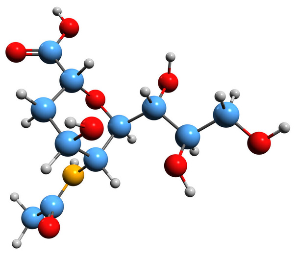  Obraz 3D wzoru szkieletowego kwasu N-acetyloneuraminowego - molekularna struktura chemiczna dominującego kwasu krzemowego wyizolowanego na białym tle - Zdjęcie, obraz