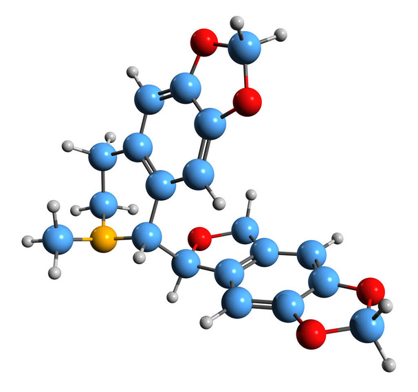  3D εικόνα του σκελετικού τύπου της βικουκλίνης - μοριακή χημική δομή της ένωσης phthalide-ισοκινολίνης που απομονώνεται σε λευκό φόντο - Φωτογραφία, εικόνα