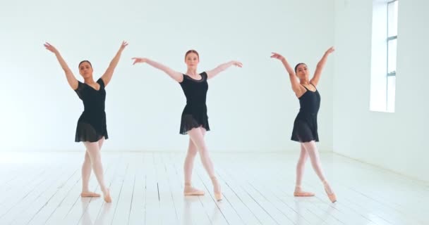 Kadın bale grubu, hazırlanmak için eğitim ve performans stüdyoda dans ve alıştırma rutini. Kadın balerin, kızlar ve profesyonel dansçılar bale ve eğlence salonunda resital yapıyorlar.. - Video, Çekim