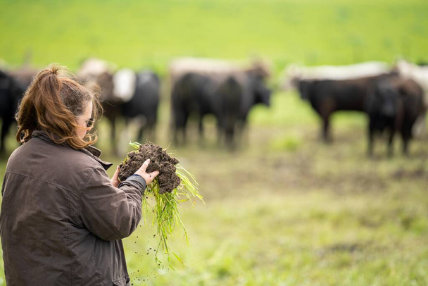 Girl studying a soil and plant sample in field. scientist in a paddock looking for fungi - Photo, Image