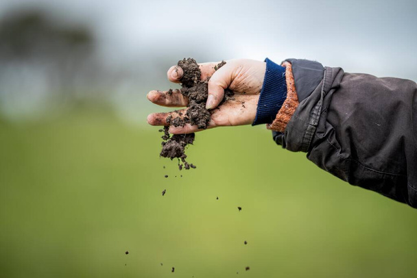 female farmer testing soil on a farm - Photo, Image