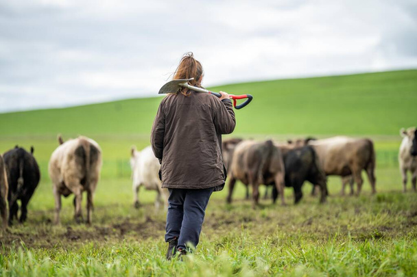 mujer en la agricultura, la ciencia del suelo. agronomía en un rancho de cultivo de hierba - Foto, imagen