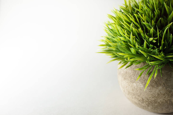 Круглый травяной горшок растительный искусственный декор - Фото, изображение