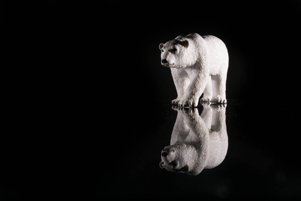 Um urso polar caminhando com reflexão - Foto, Imagem