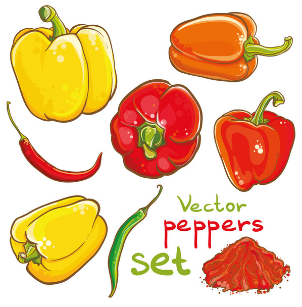 Vector illustration of peppers, chili peppers, cayenne and spice - Vektor, obrázek