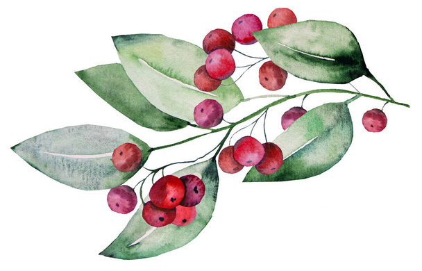 Christmas colorful watercolor  twig with green leaves and red berries., isolated Illustration. Hand painted Element for Winter holiday stationary, greetings, wallpaper, posters - Photo, Image