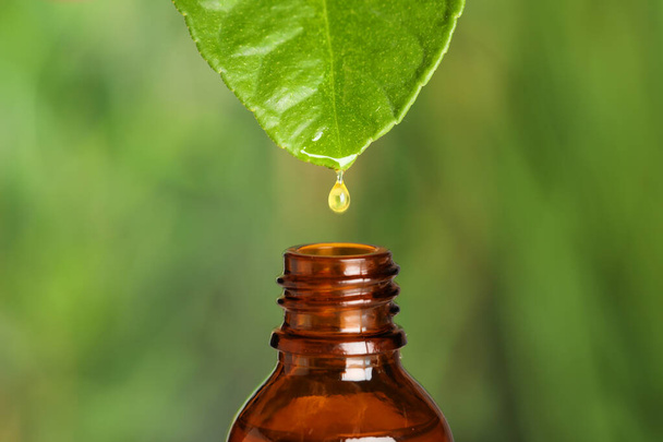 Dripping essential oil from leaf into bottle against blurred background, closeup - Foto, imagen