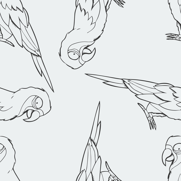 Parrot macaw outline pattern - Vector, Image