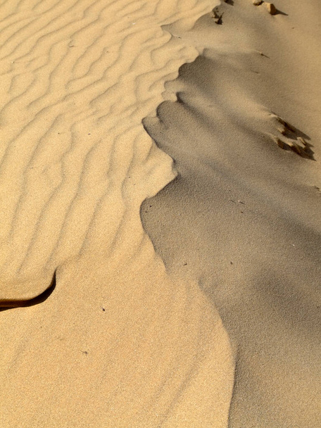 Woestijnduinen, kleurrijke levendige reizen thema - Foto, afbeelding