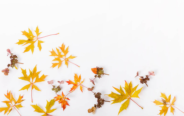 Composición de otoño. Marco hecho de hojas secas de otoño, flores secas sobre fondo blanco. Plano, vista superior, espacio para copiar - Foto, imagen