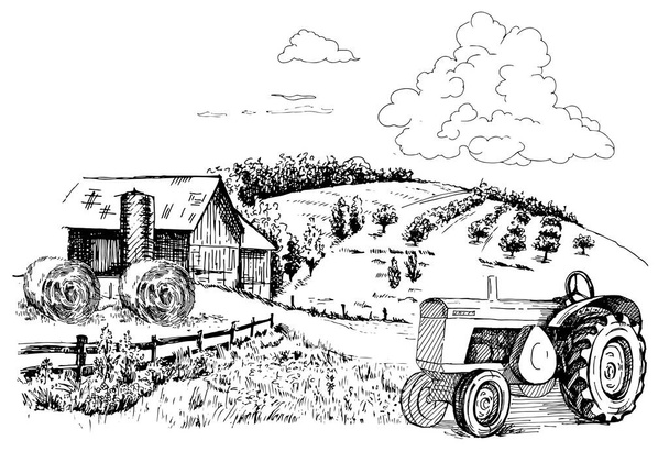 Zielona trawa na małych wzgórzach. Łąka, alkaliczne, ług, użytki zielone, pommel, lea, pastwiska, farma. Krajobraz wiejski panorama krajobrazu pastwisk wiejskich. Ilustracja szkicu wektora - Wektor, obraz