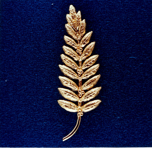 Gold Olive Branch Left on the Moon by Neil Armstrong  - Foto, imagen