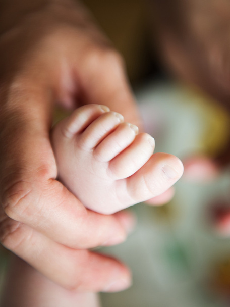newborn baby feet in female hands - Photo, image