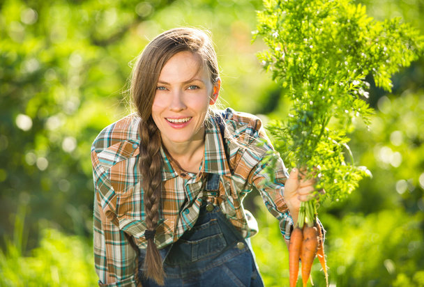 Gardener with bunch of carrots - Фото, изображение