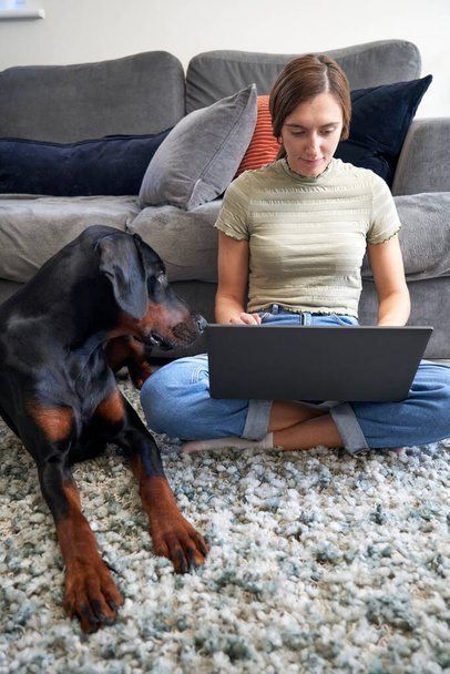 Νεαρή γυναίκα κάθεται στο πάτωμα μπροστά από καναπέ στο σπίτι εργάζονται σε φορητό υπολογιστή με κατοικίδιο ζώο σκυλί δίπλα της                                - Φωτογραφία, εικόνα