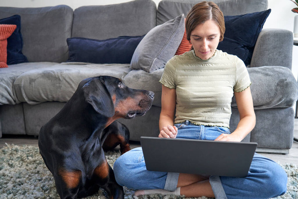 Jonge vrouw zit op de vloer in de voorkant van de bank thuis werken op laptop computer met hond huisdier naast haar                                - Foto, afbeelding