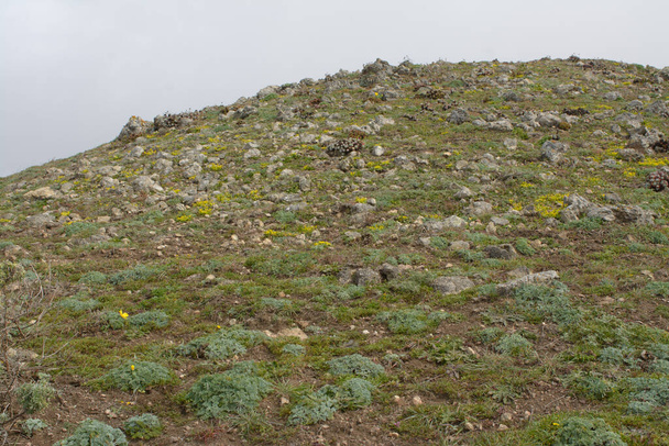 Дикий каліфорнійський прибережний скельний пагорб
 - Фото, зображення