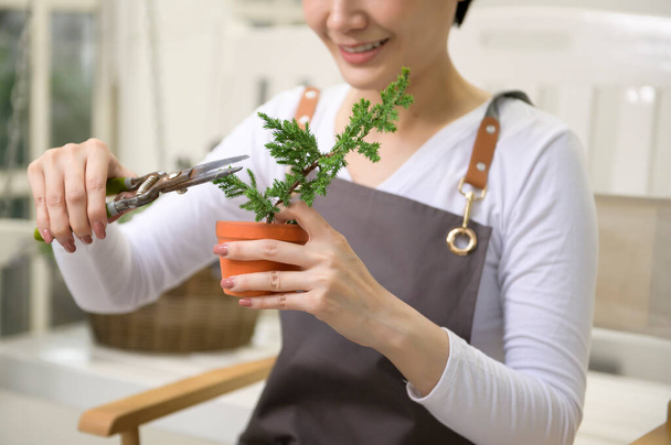 A young Asian woman enjoys gardening at home, Health care and wellbeing concept  - Foto, imagen