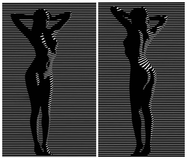 Stylized vector illustration of sexy naked lady by the window blinds shadow - Wektor, obraz