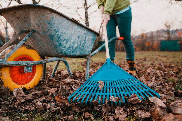 κηπουρός σκάβει μια τσουγκράνα στην αυλή  - Φωτογραφία, εικόνα