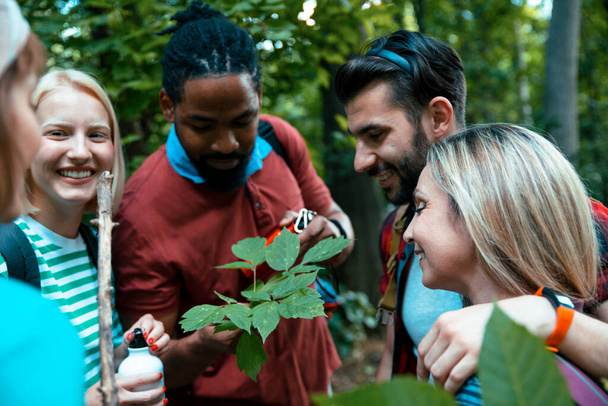 Молодая группа натуралистов изучает зеленые листья в лесу. Мультиэтнические друзья в лесу смотрят на растения в естественной среде - Фото, изображение
