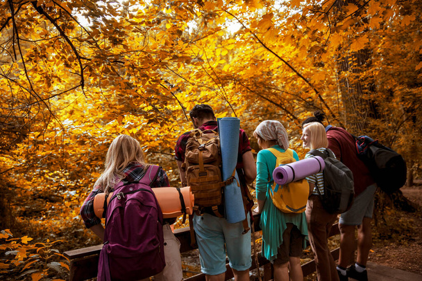 Több etnikai csoport túrázók a természetben. Készíts portrékat boldog emberekről az erdőben. Backpacker Barátok nyomkövető gyönyörű őszi erdőben. Fénymásolási hely - Fotó, kép