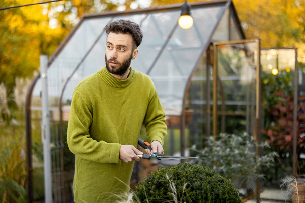 Stylish guy prunes a round bush with scissors in garden with glasshouse on background. Gardening hobby and topiary plants concept - Photo, Image