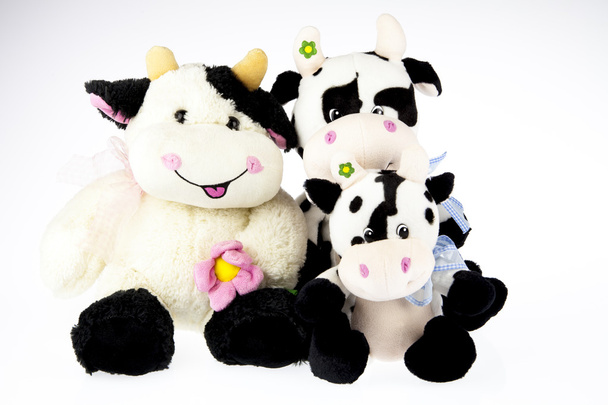 Cow plush family - Photo, Image