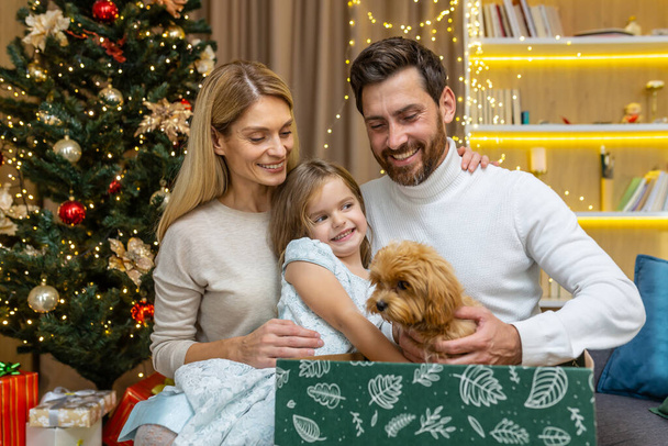 Szczęśliwi rodzice zrobić prezent niespodzianka małego psa szczeniaka od Mikołaja do dziecka na Boże Narodzenie lub Nowy Rok. Szczęście. Ojciec i matka zaskakujące ich dziecko mała dziewczynka otrzymuje prezent w domu. - Zdjęcie, obraz