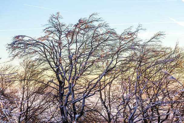 Ανατολή του ηλίου, κάτω από το χειμώνα ηρεμήσει ορεινό τοπίο με όμορφα  - Φωτογραφία, εικόνα