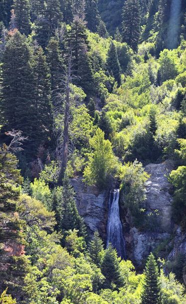 Horsetail Falls cascade down the cliffs in Lone Peak Wilderness along the Wasatch Front Rocky Mountains, Alpine Utah. USA. - Photo, Image