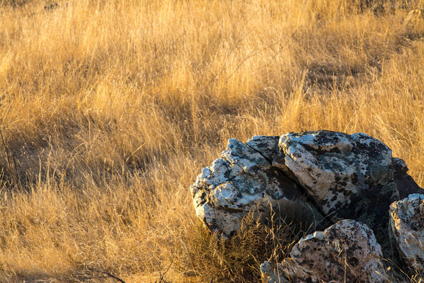 Large granite boulder surrounded by dry grass - Foto, afbeelding