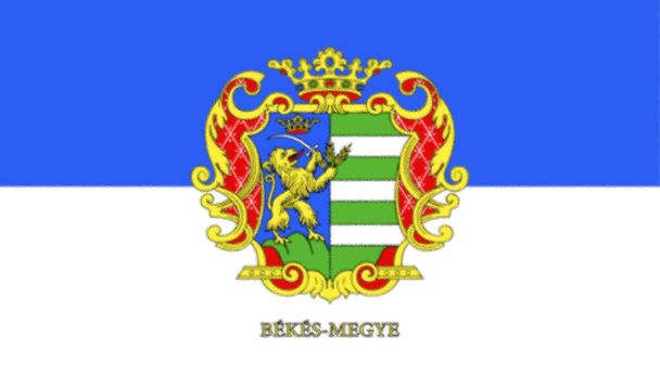 ハンガリーのカウンティ・バックスの旗 - 写真・画像