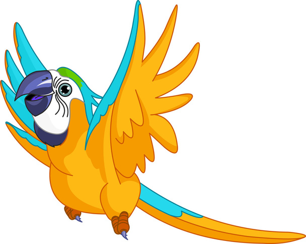 Flying Parrot - Vector, afbeelding