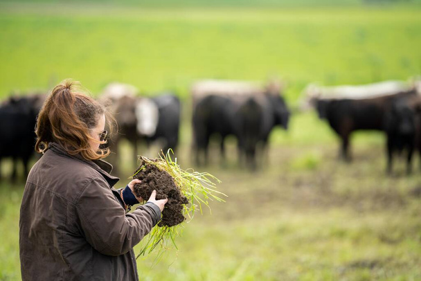 female in agriculture, soil science. agronomy on a ranch growing grass - Photo, Image